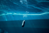 Sharkbanz - Fishing Tackle Deterrent 'Zeppelin'