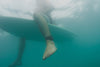 Sharkbanz - Shark Repellent and Deterrent Device