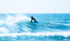 Tail Pad - Van Der Waal Clear Surfboard Grip